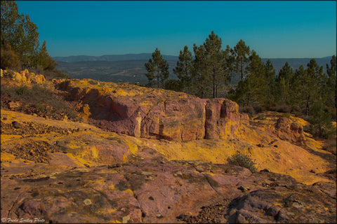 Flavors of the Luberon